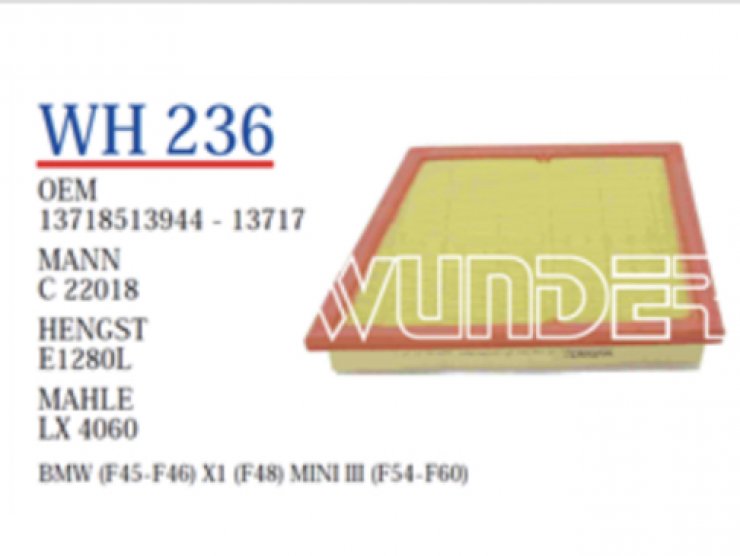 WH236 BMW (F45-F46) X1 (F48) MINI III (F54-F60) 13718513944 Hava Filtresi