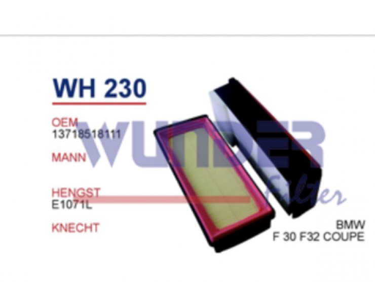 WH230 BMW F 30 F32 COUPE HAVA FİLTRESİ 13718518111 Hava Filtresi